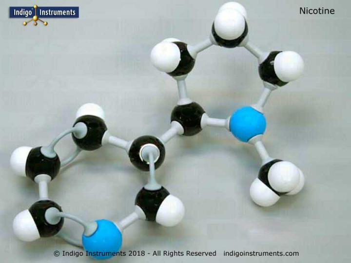 Nicotine Molecular Model Assembled