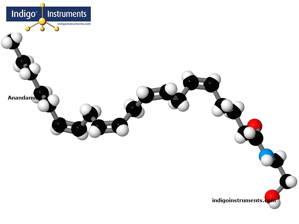 Anandamide