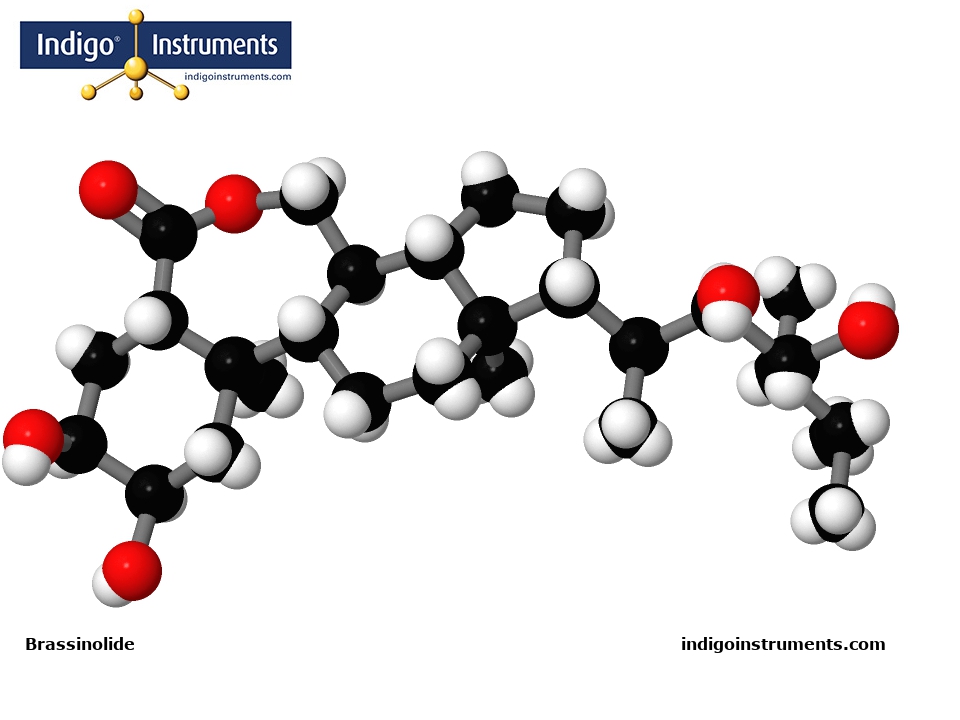 Brassinolide