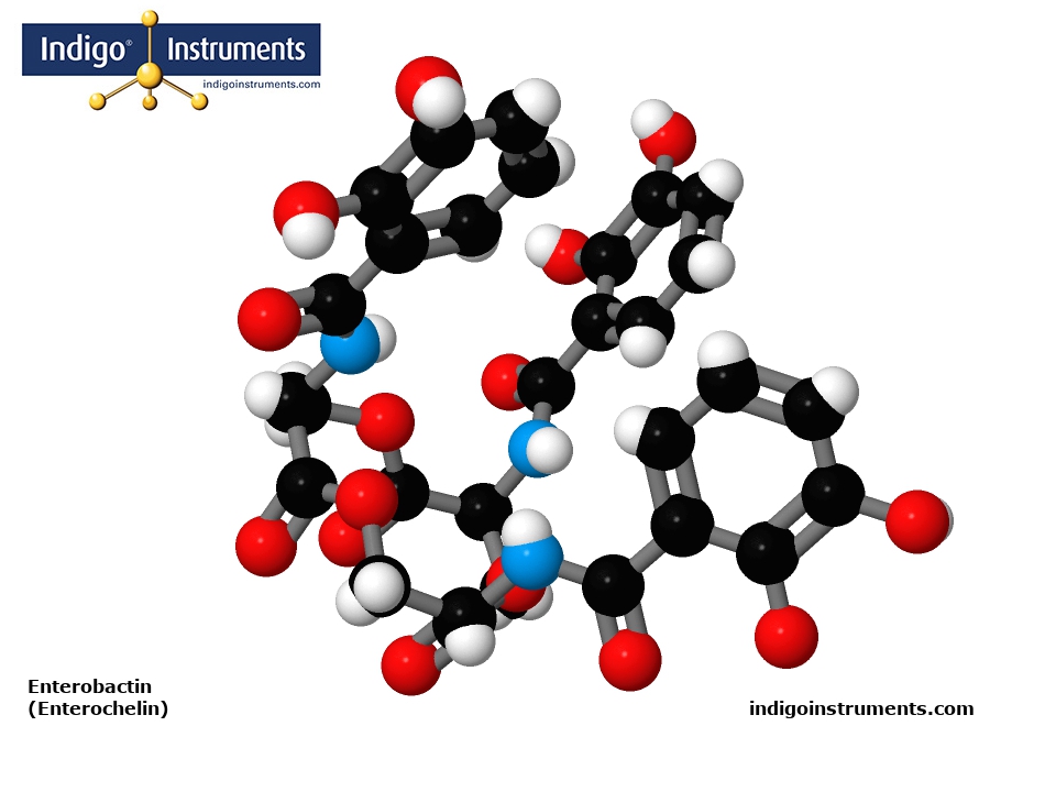 Enterobactin  (Enterochelin)