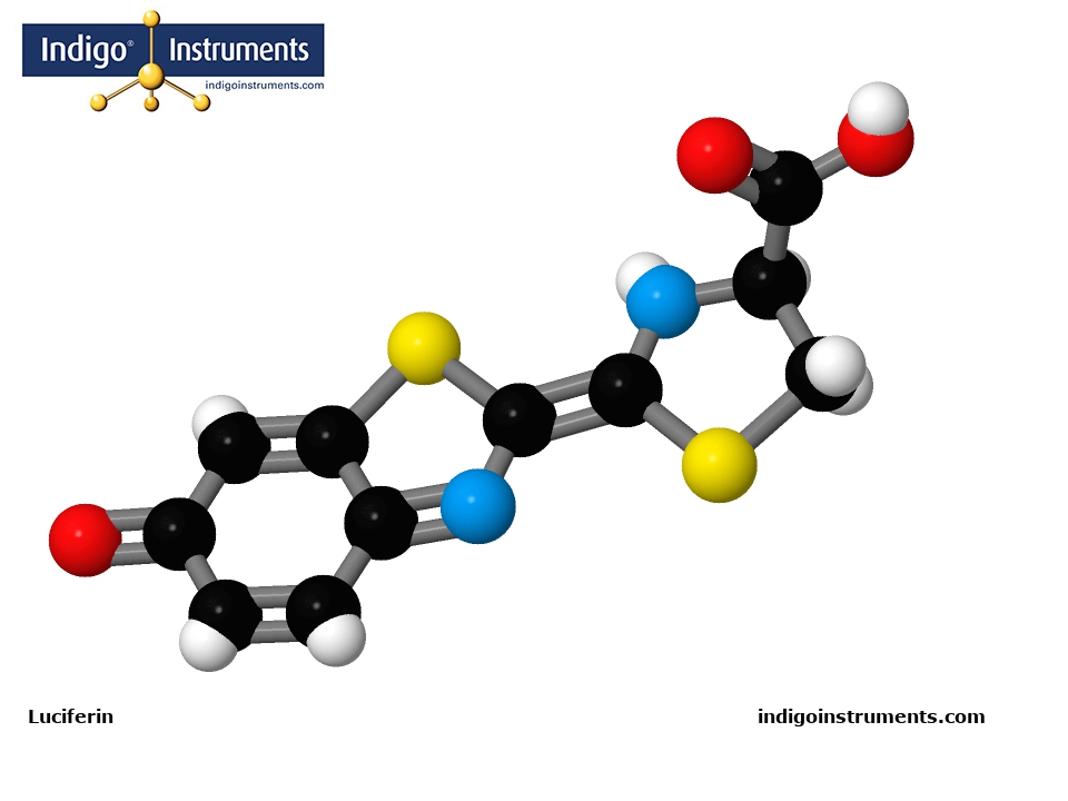 Luciferin Luciferin