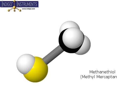 Methanethiol  (Methyl Mercaptan)