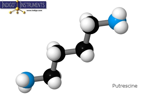 Putrescine