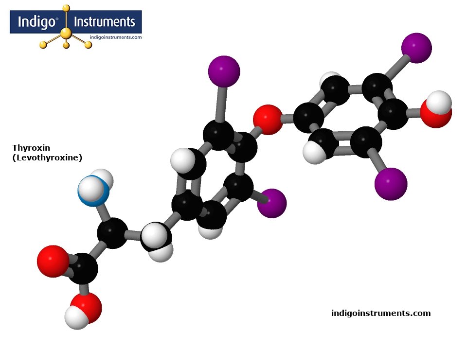 Thyroxin  (Levothyroxine)