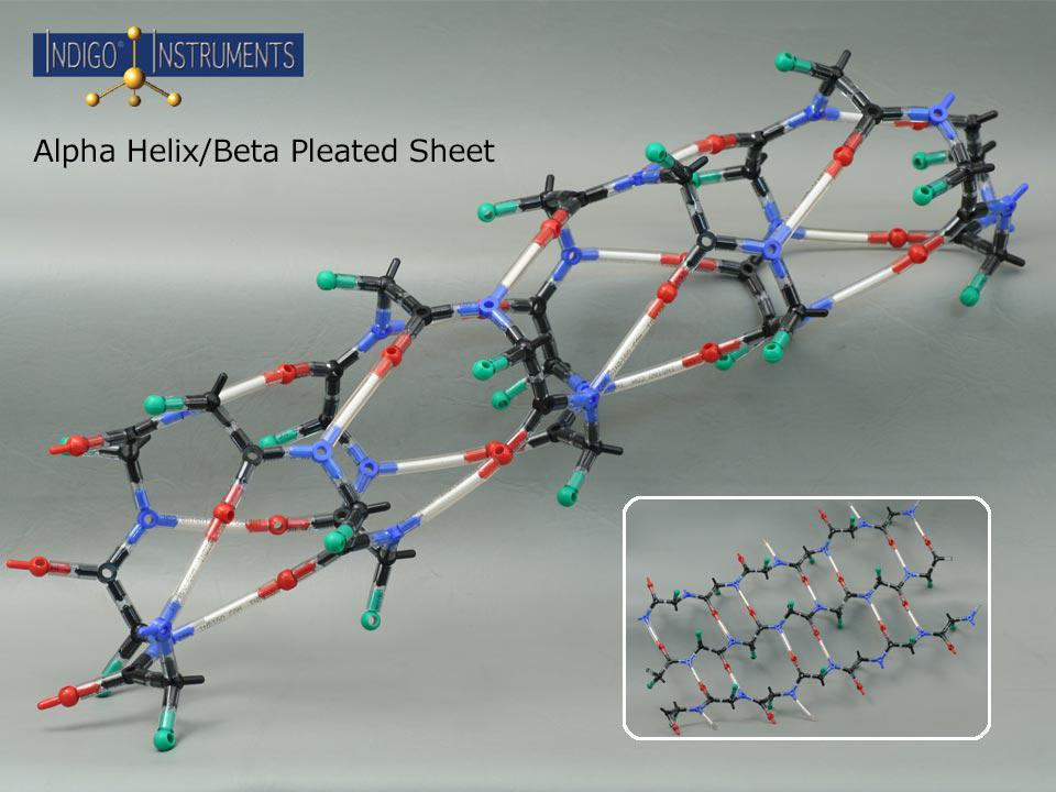 Alpha Helix Protein Structure Model