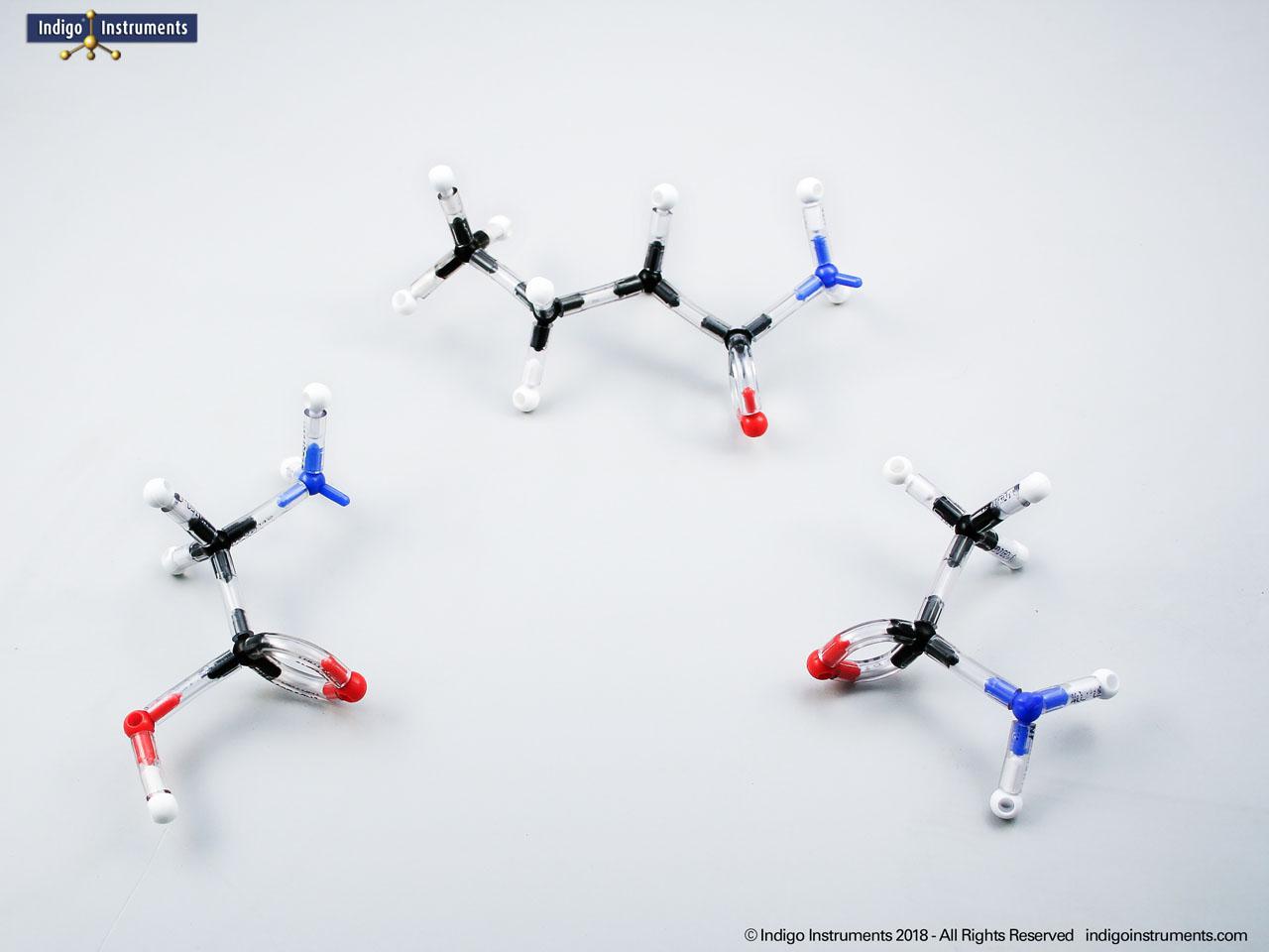 Amide Functional Group Structure Models