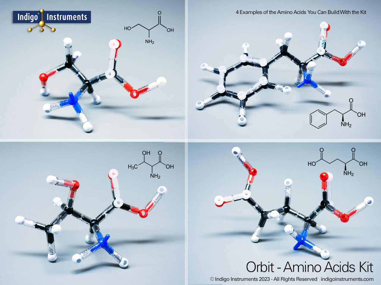 Orbit Amino Acids