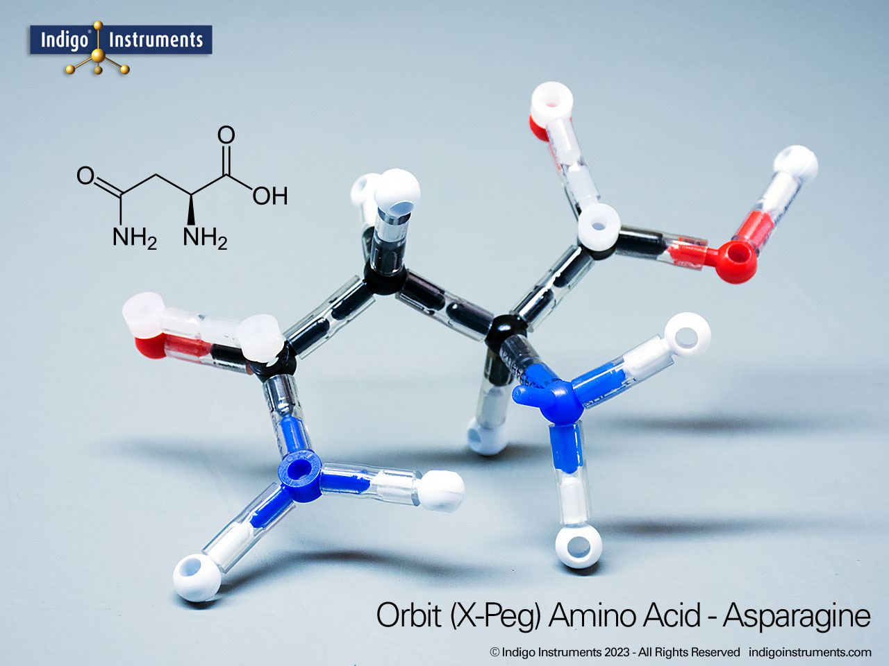 Asparagine