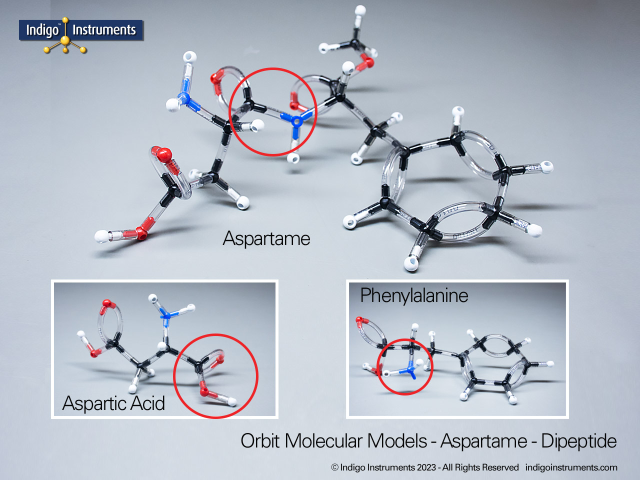 Aspartame Dipeptide Structure