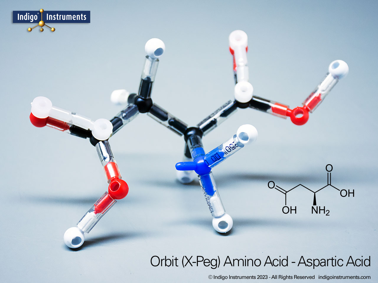 Aspartic Acid