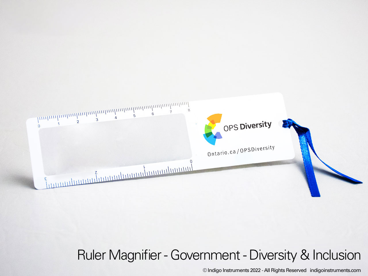 Government Diversity Program Bookmark Ruler