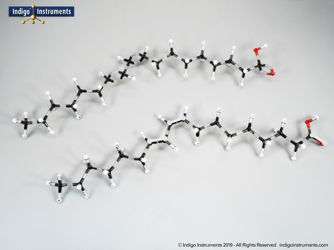 Conjugated Linoleic Acid