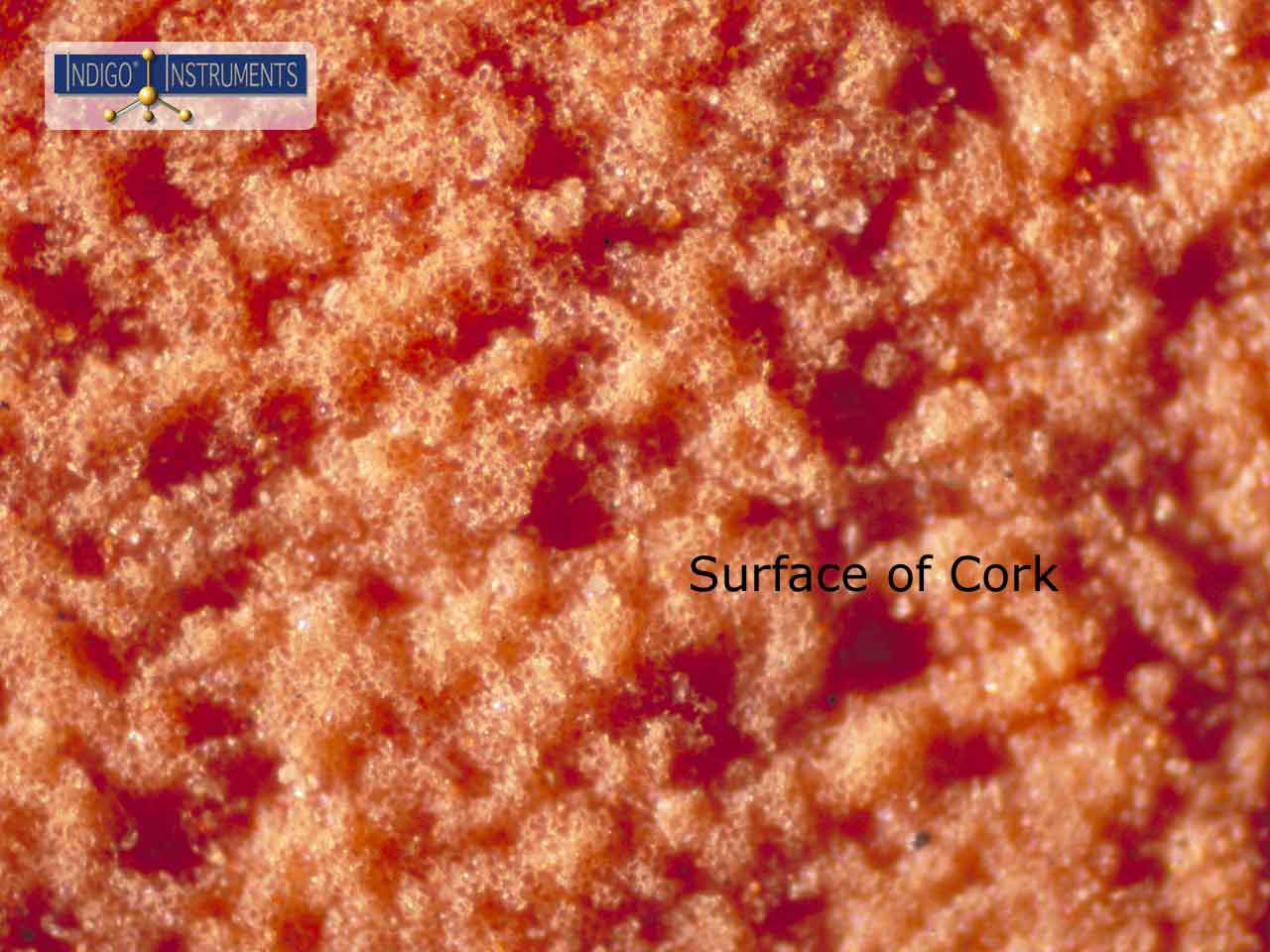 Cork Surface