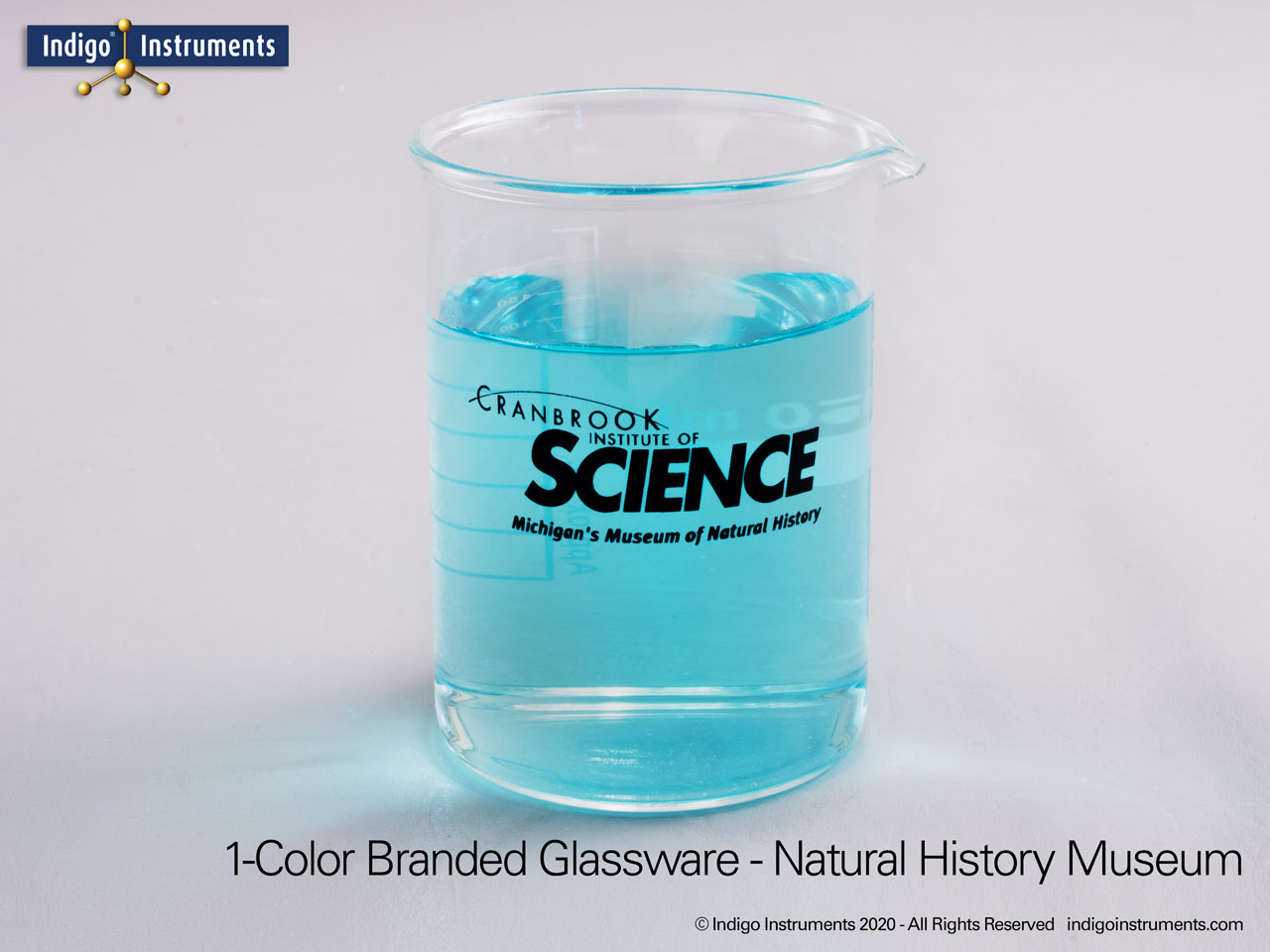 Natural History Museum Promotional Gift Beaker