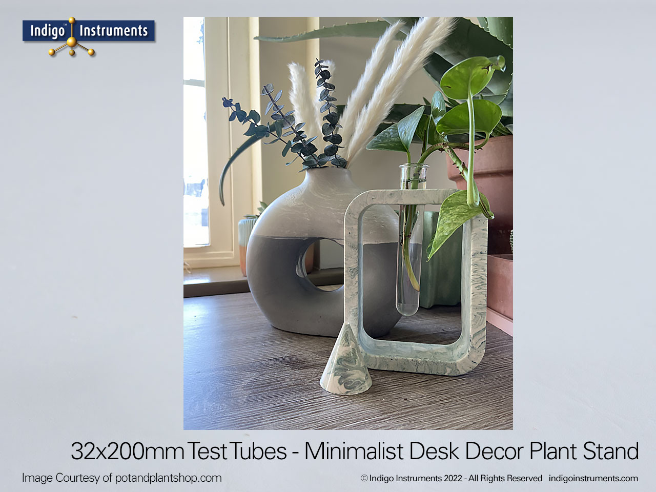 Minimalist Desk Decor Plant Test Tube Stand