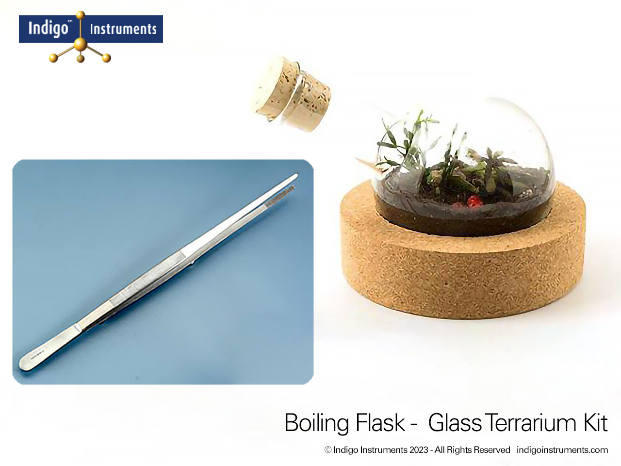 Flask Terrarium-Long Forceps