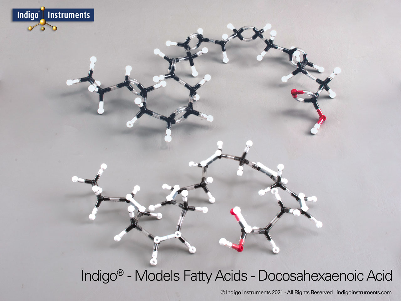 Docosahexaenoic Acid Model