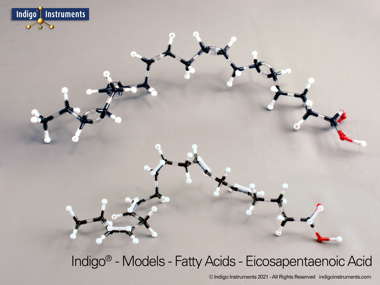 Eicosapentaenoic Acid Model