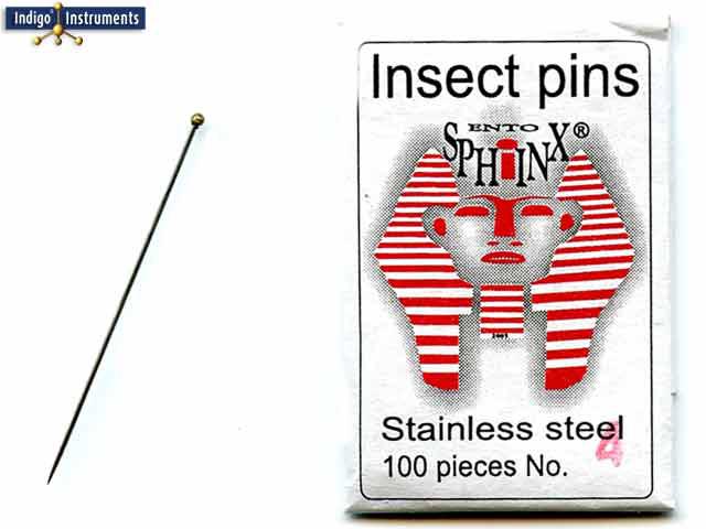 Stainless Steel Insect Pin #4