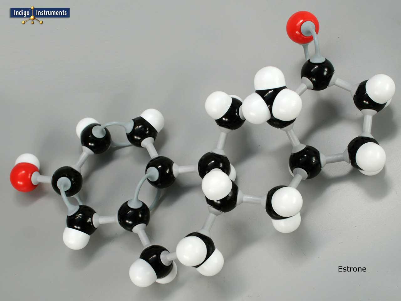 Estrone Structure Model-Assembled