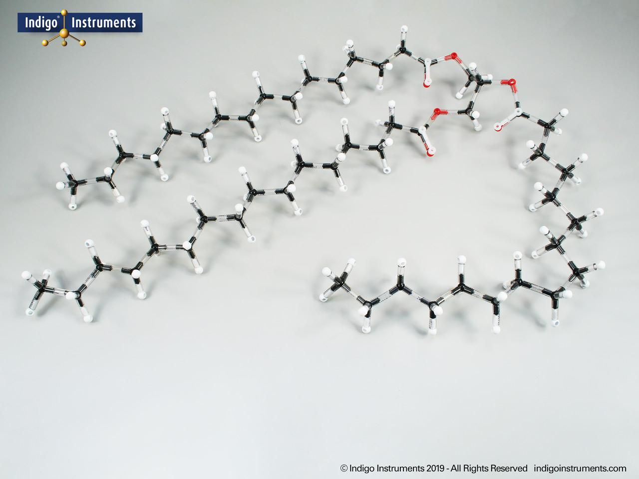 Fatty Acid-Triglyceride Structure Molecules