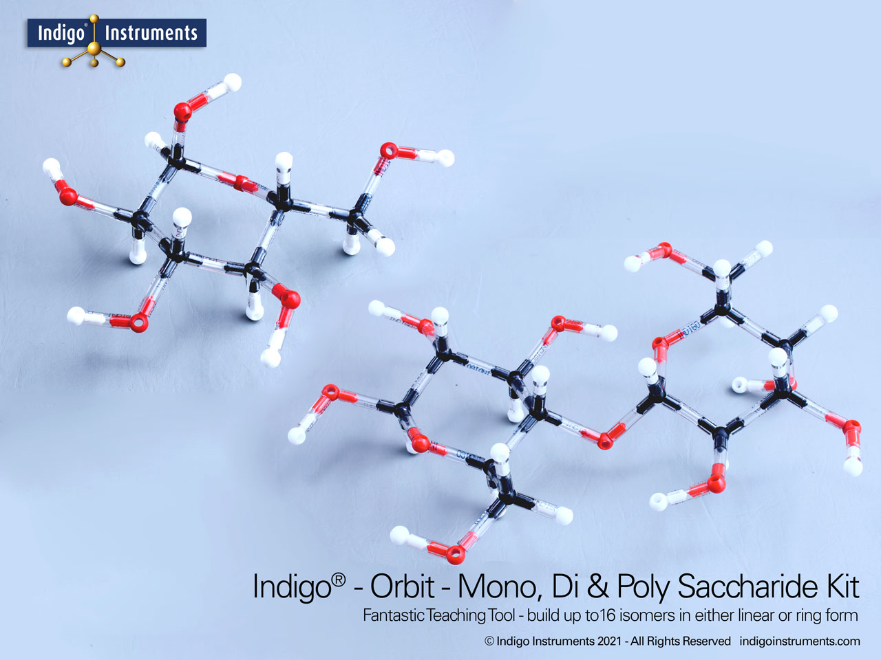 Sugar-Saccharide Models