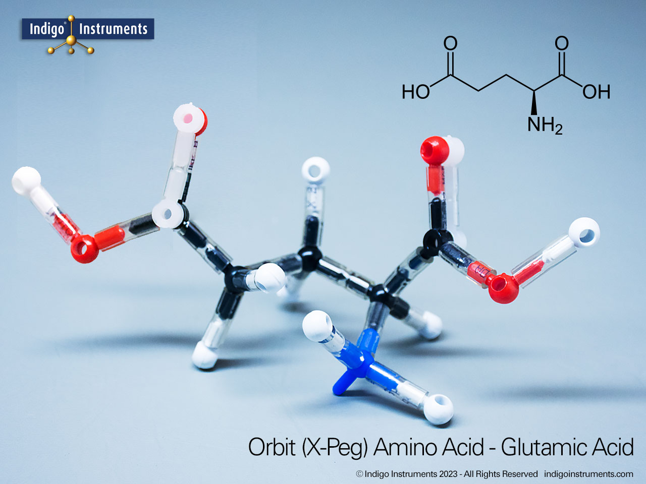 Glutamic Acid