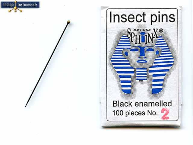 Black Enamel Insect Pin #2