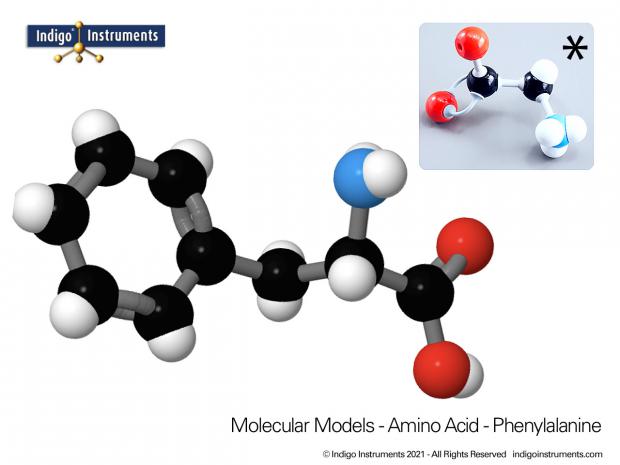 Glycine Structure Amino Acid Molecular Model, from Indigo