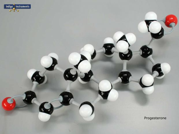 Progesterone Molecular Model Kit Assembled