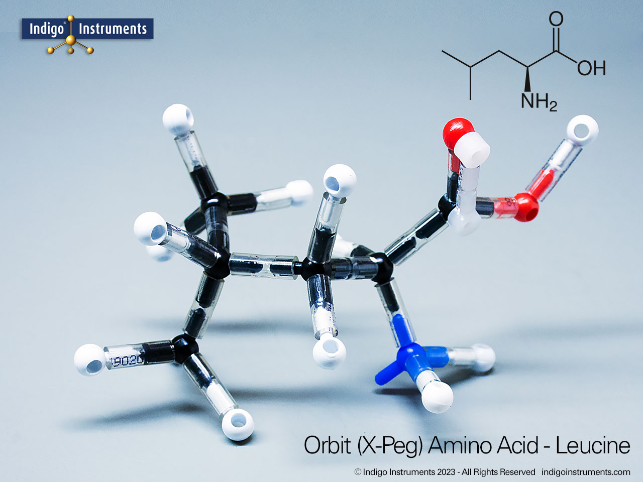 Leucine