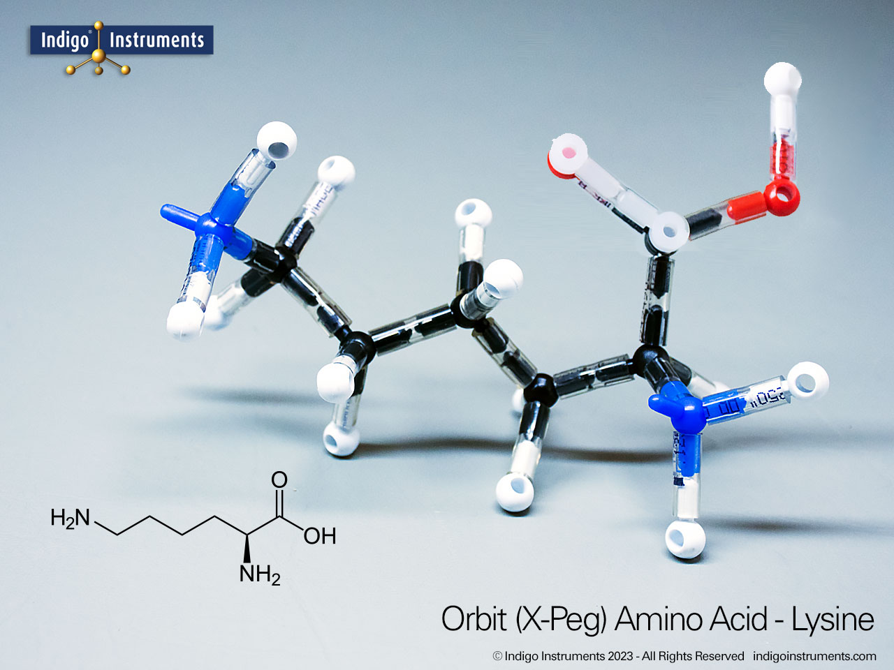 Lysine