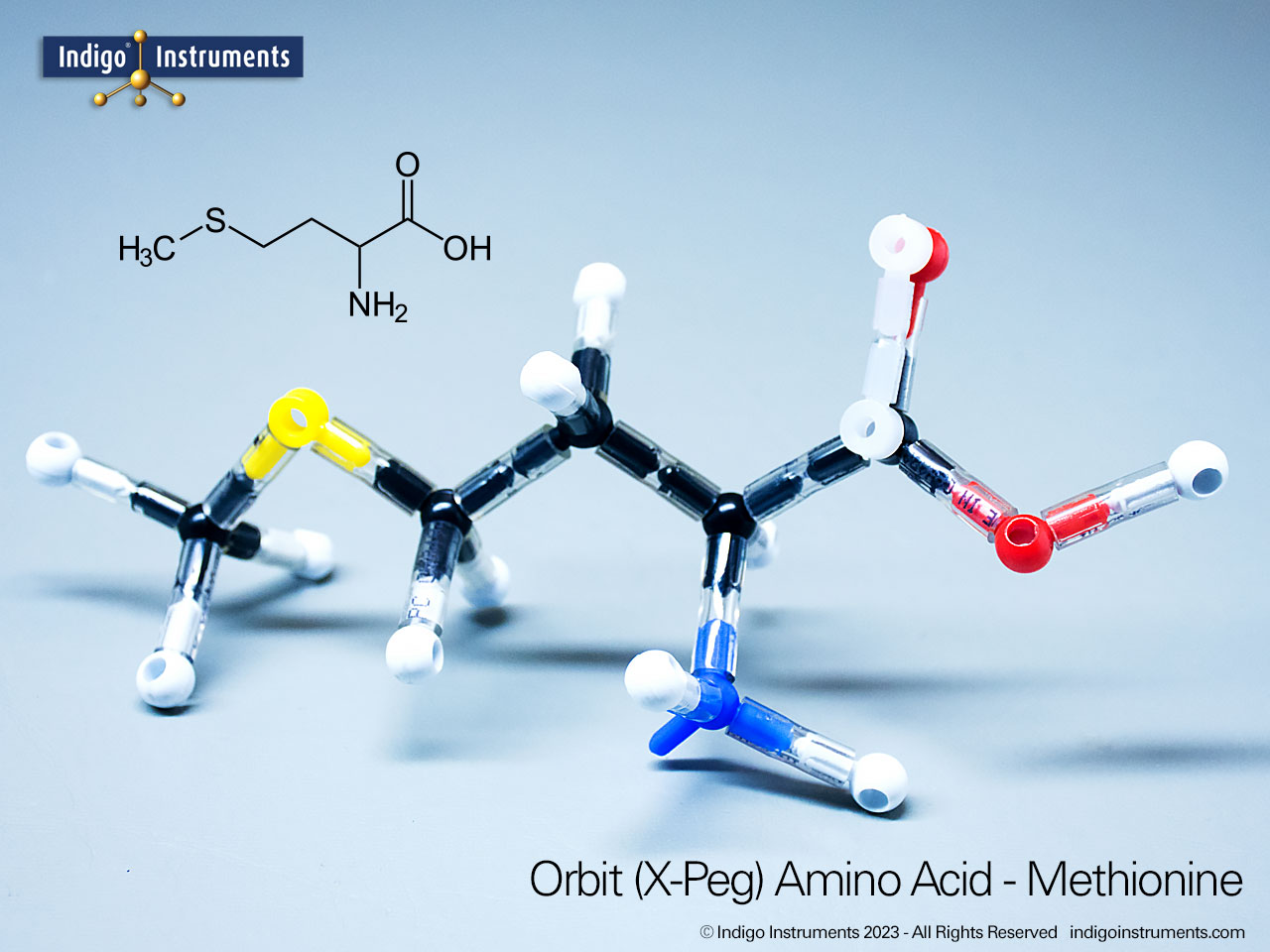 Methionine Amino Acid Molecular Structure