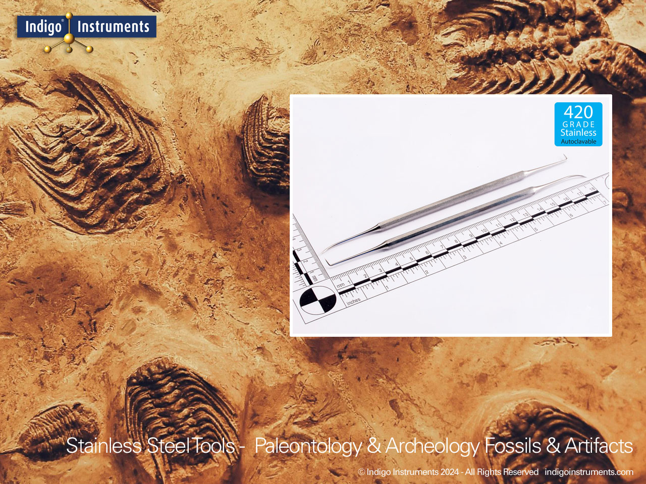 Paleontology Fossil Scraping Tool