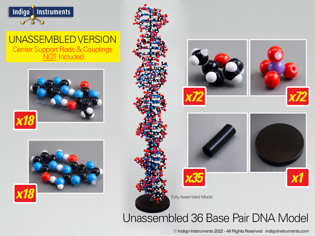 Big Bang Theory DNA Model-Partially Assembled