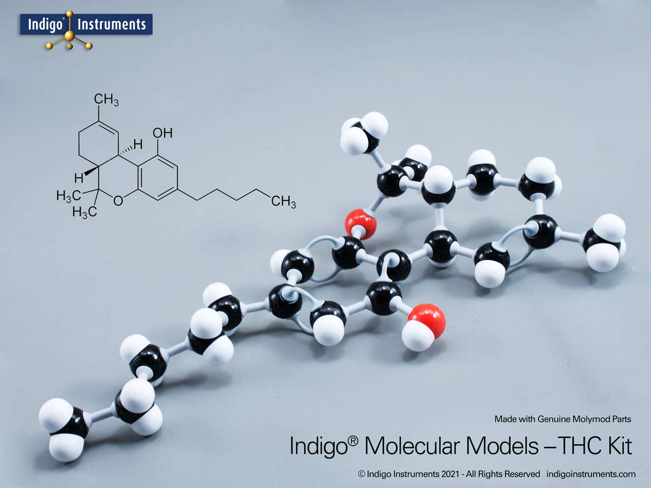 THC Structure Model-Assembled