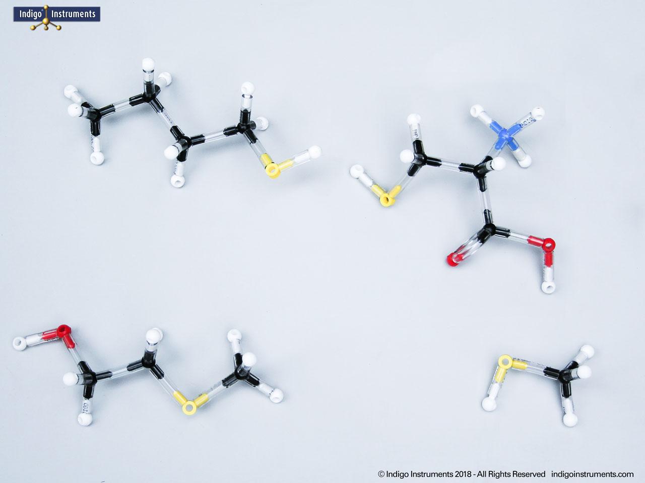 Thiol Functional Group Structure Models