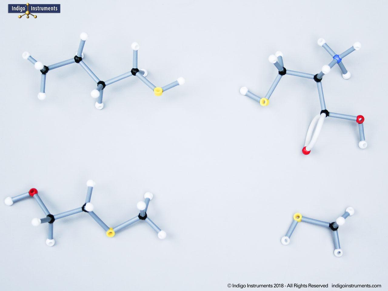 Thiol Functional Group Compound Models