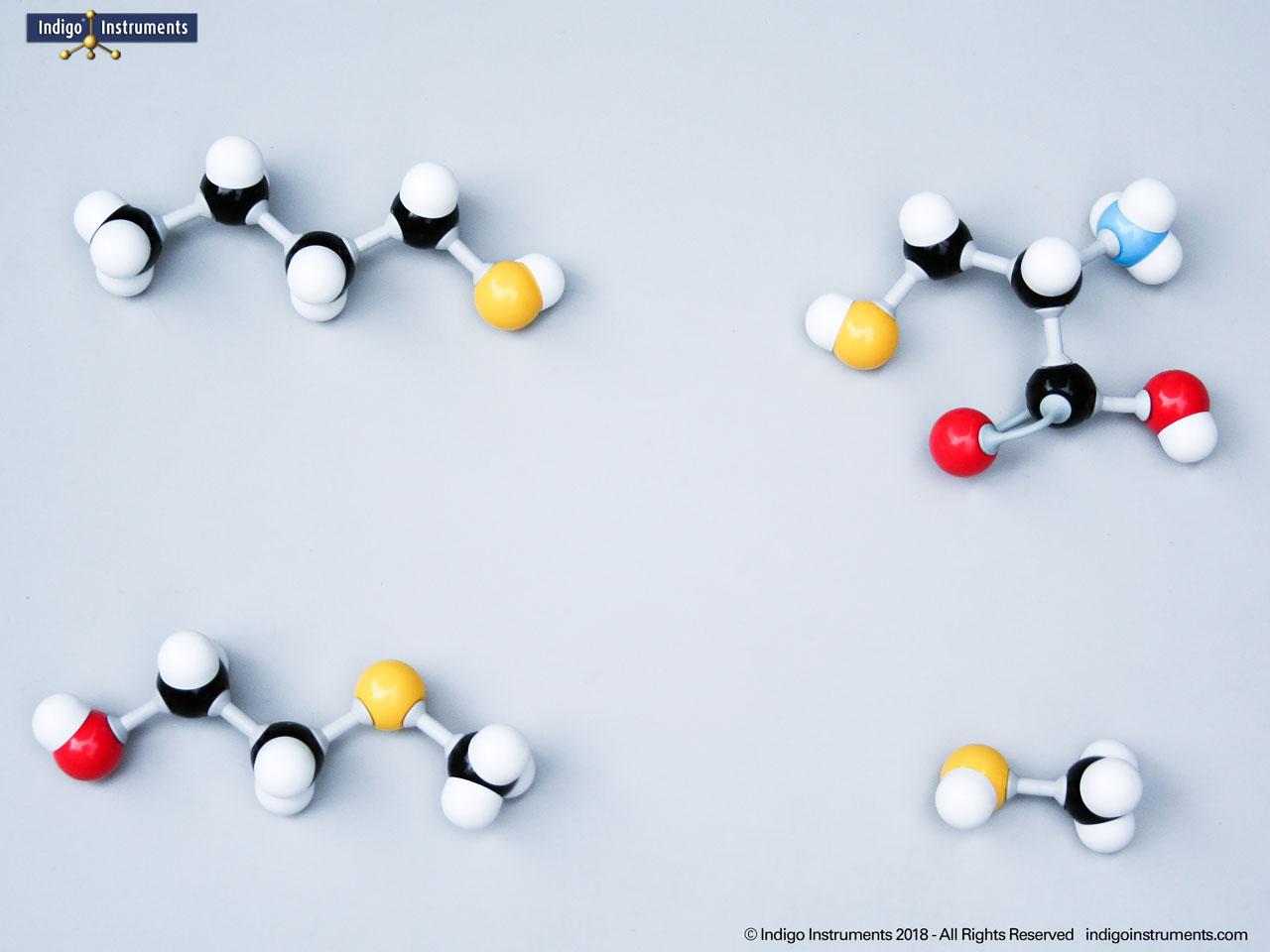 Thiol Functional Group Molecule Models