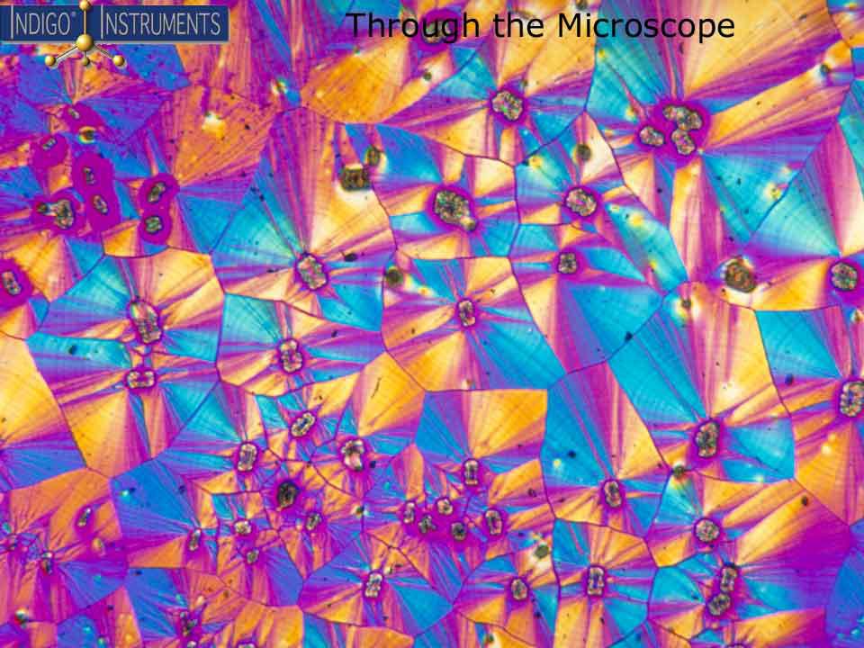 Through The Microscope