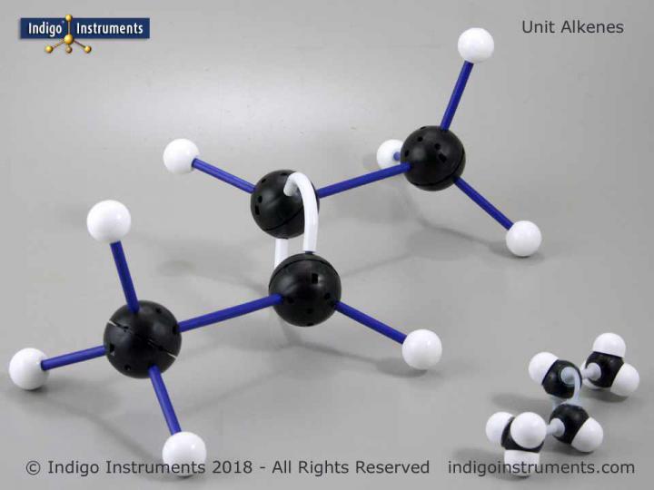 Isotactic Polypropylene Molecular Structure Model Large Demonstration Size