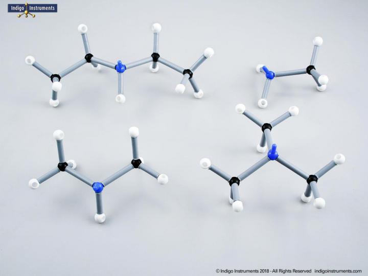 Thiol Molecule Structures Built With Orbit Foundation Model Set 68845nv