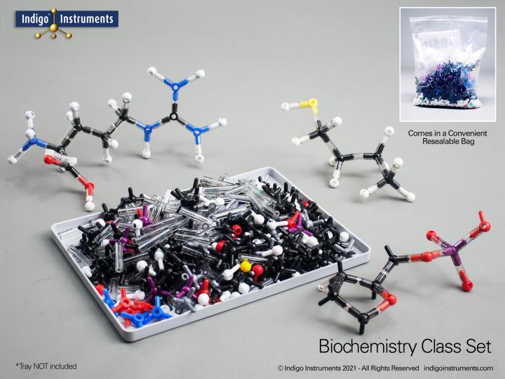 Orbit Biochemistry Class Molecular Model Set