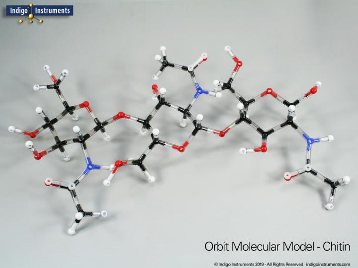 Sugar Structures Molecular Model Kit, Indigo