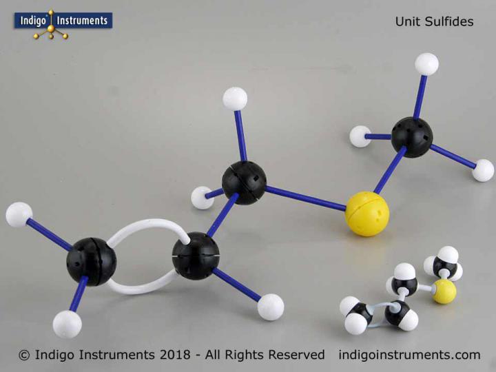 Isotactic Polypropylene Molecular Structure Model Large Demonstration Size