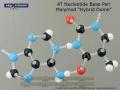 AT DNA Base Pair (w/o ribose phosphate)