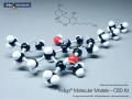 Cannabidiol (CBD) Chemical Structure Model, Assembled