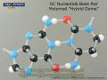 GC DNA Base Pair (w/o ribose phosphate)