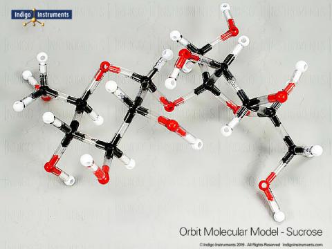 Sugar Structures Molecular Model Kit, Indigo