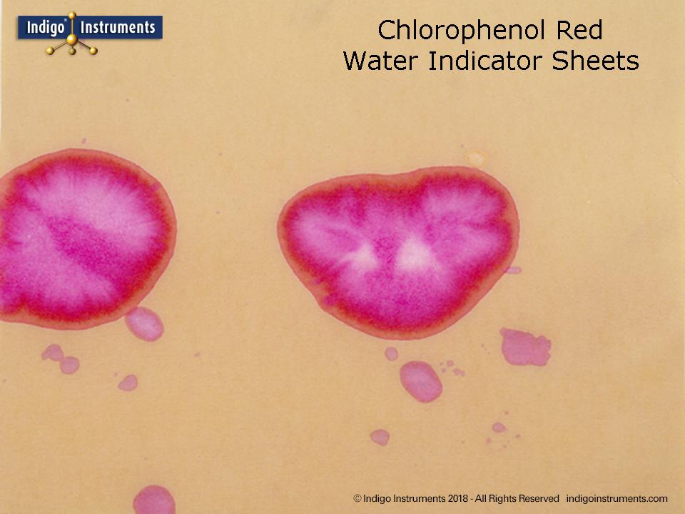 Water Leak Detection Paper, Chlorophenol Indicator Sheets, 8x10